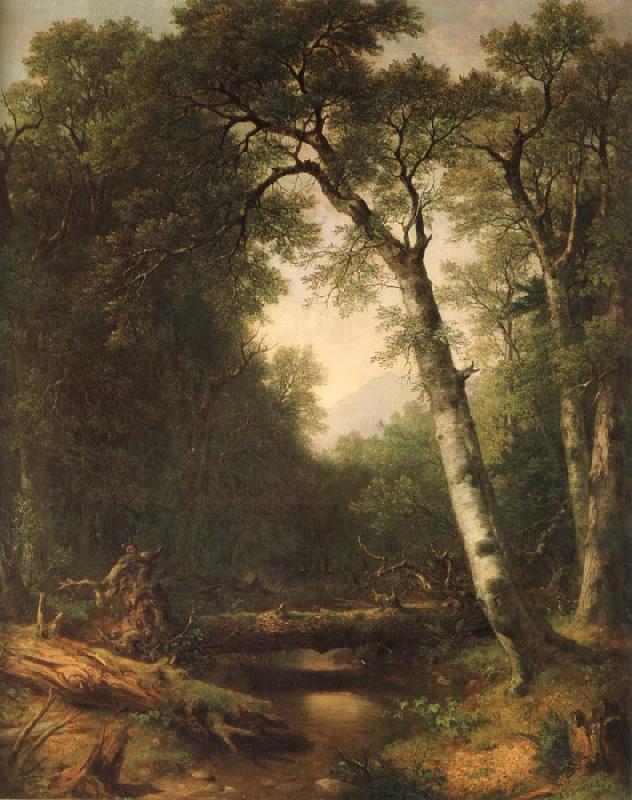 Asher Brown Durand Ein Bach im  Wald oil painting picture